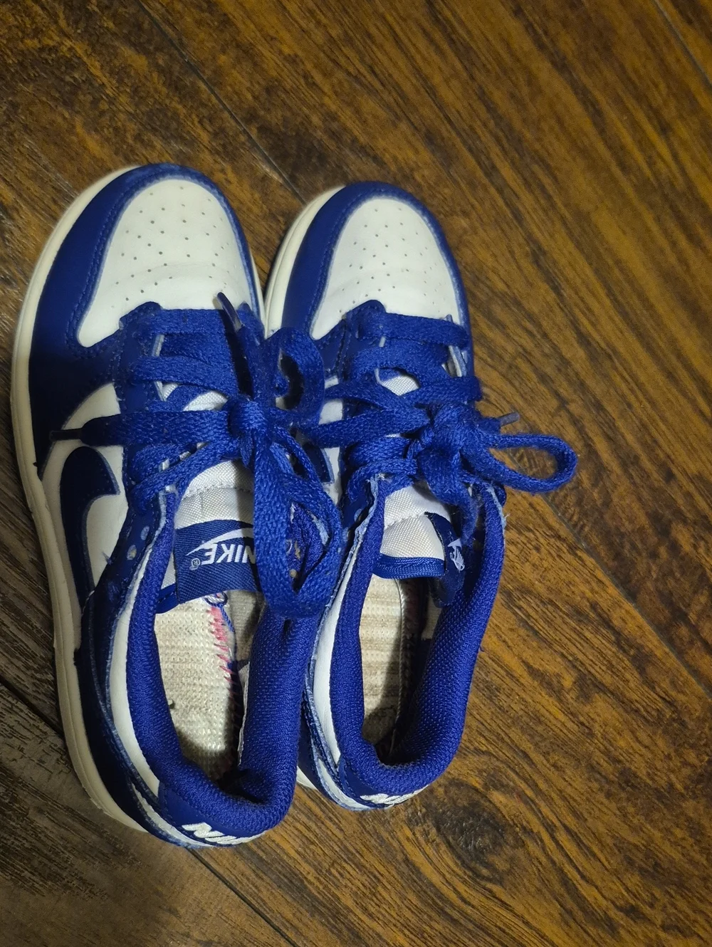Nike Kids Royal Blue Dunks and White Low-Top Sneakers